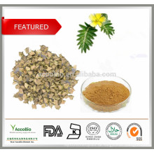 Kostenlose Probe Tribulus Terrestris 90% Bulk Pulver / Tribulus Terrestris Frucht Extrakt Pulver